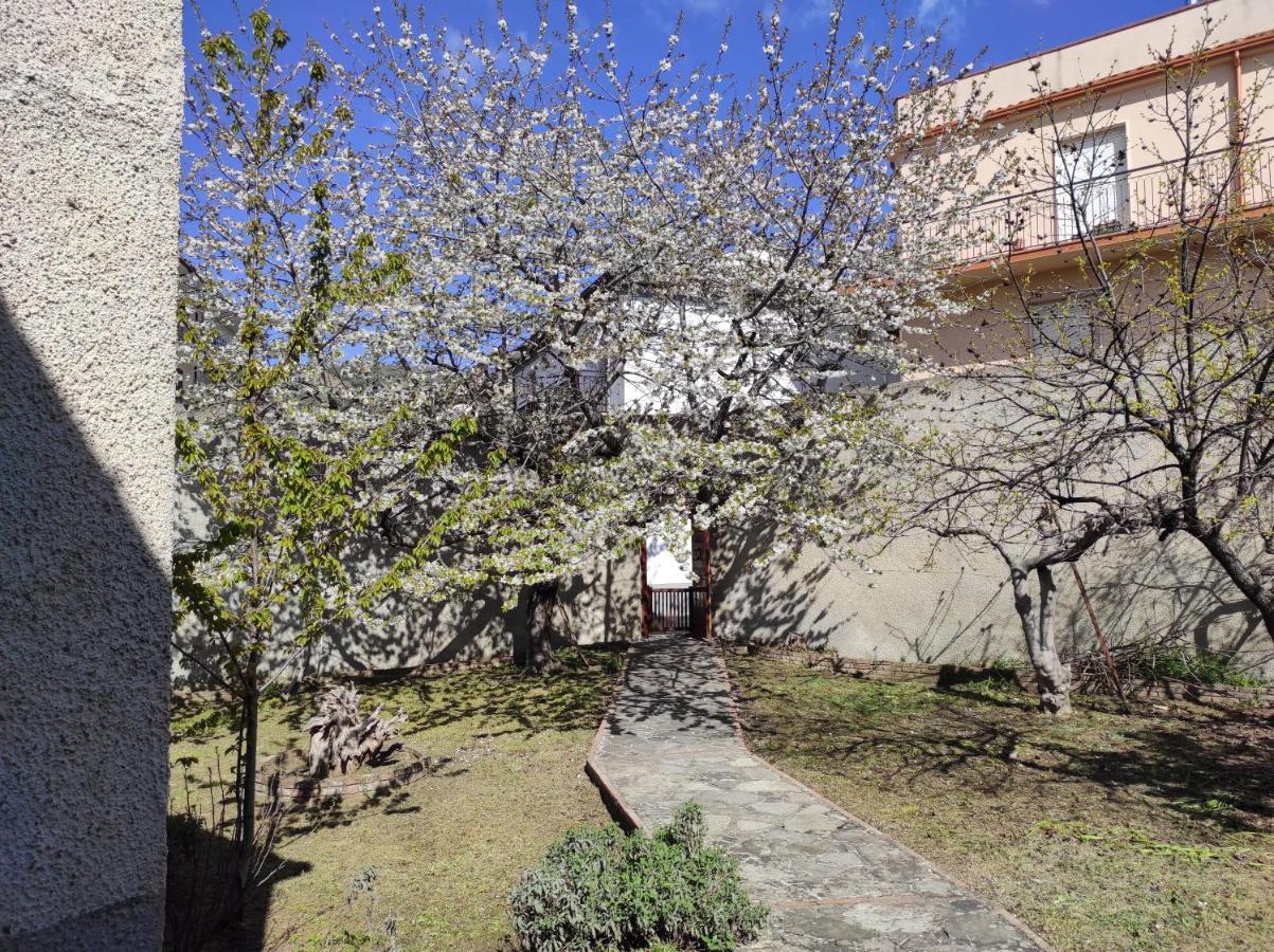 Antica Dimora Palazzo Rovitti Bed and Breakfast Cerchiara di Calabria Εξωτερικό φωτογραφία
