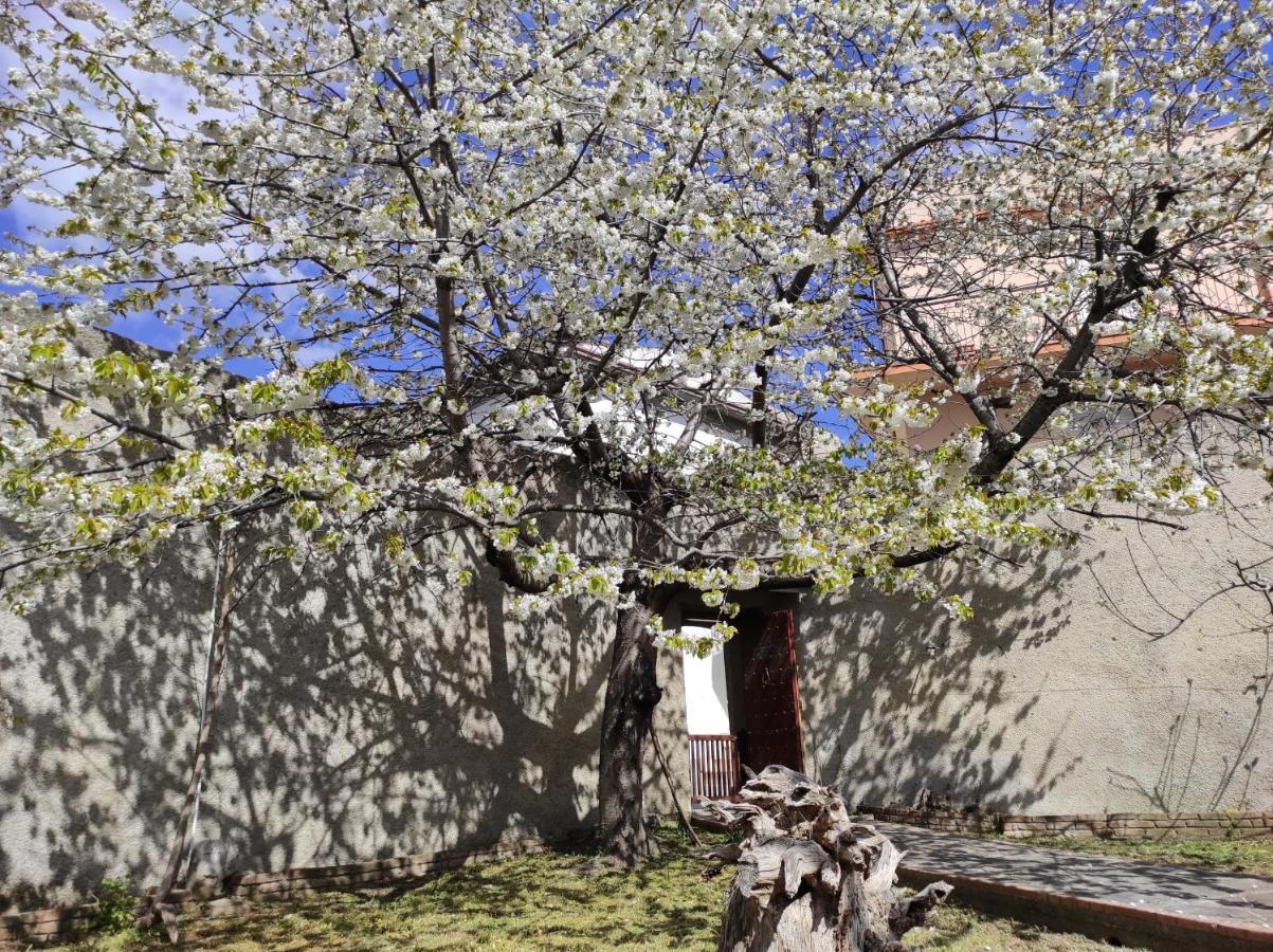 Antica Dimora Palazzo Rovitti Bed and Breakfast Cerchiara di Calabria Εξωτερικό φωτογραφία